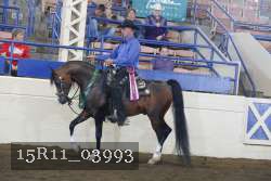 15R11_03993 thumbnail