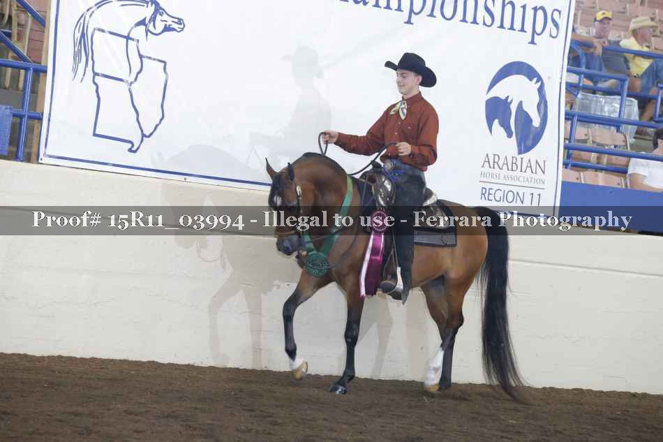 Proof Number 15R11_03994
