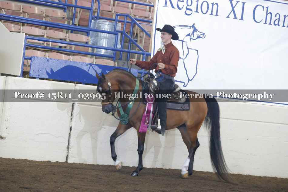 Proof Number 15R11_03995