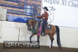 15R11_03995 thumbnail