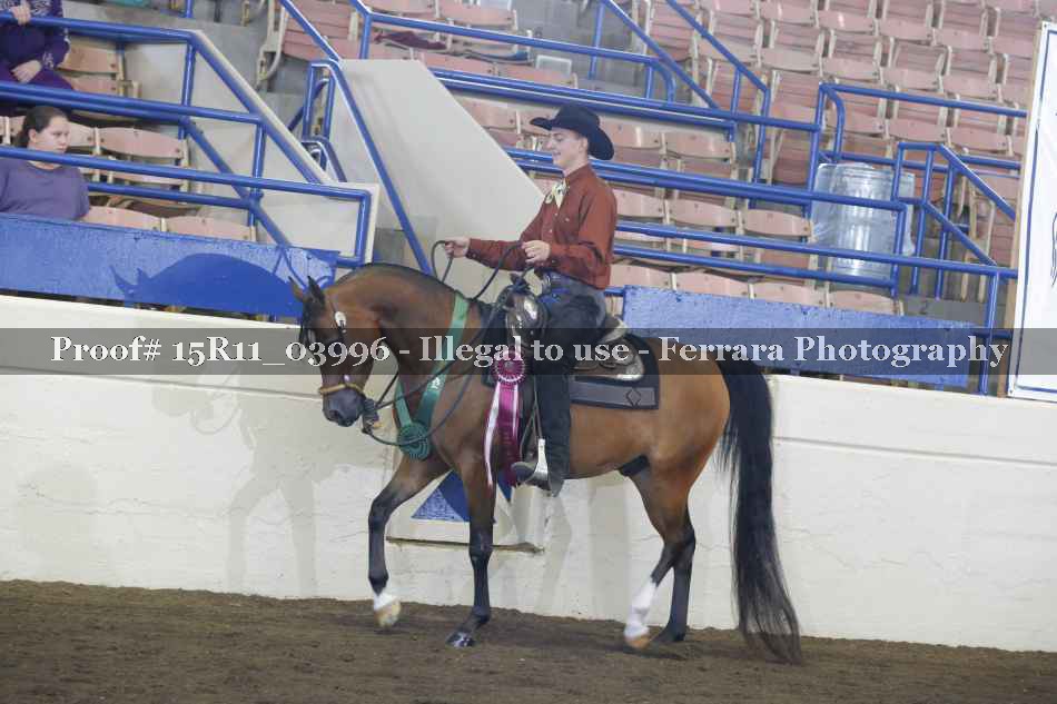 Proof Number 15R11_03996