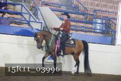 15R11_03996 thumbnail