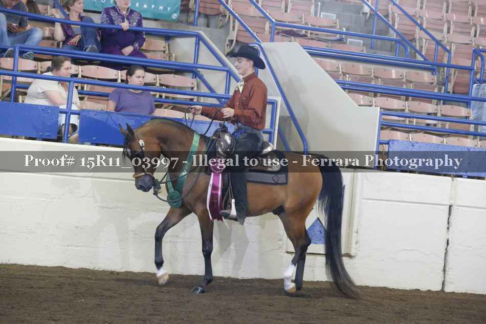 Proof Number 15R11_03997