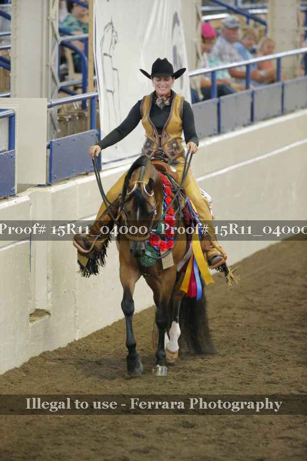 Proof Number 15R11_04000