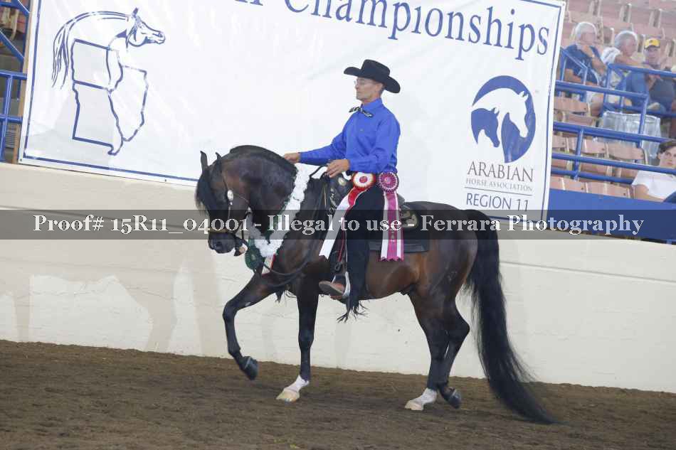 Proof Number 15R11_04001