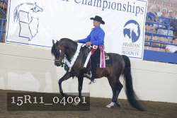 15R11_04001 thumbnail