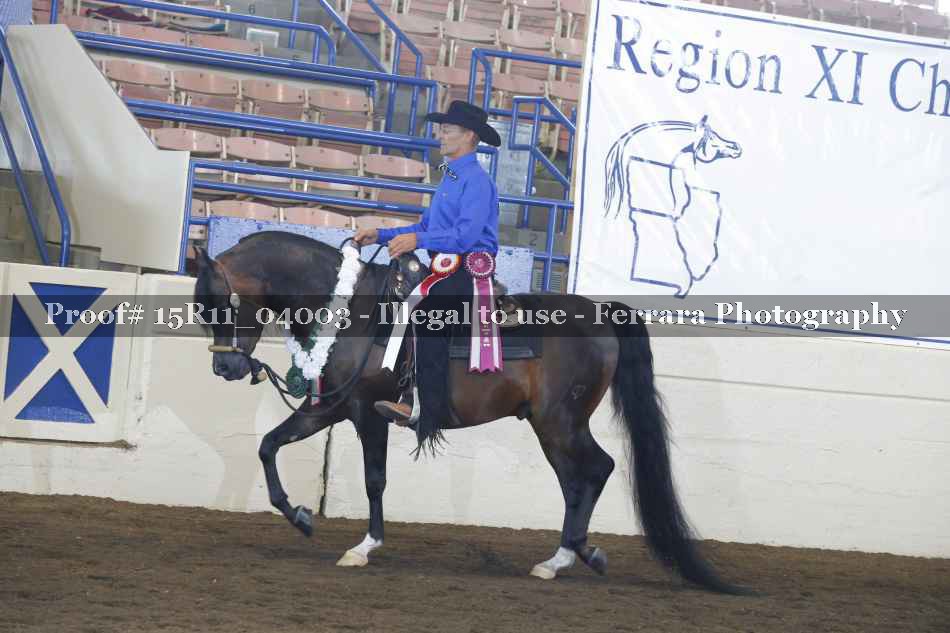 Proof Number 15R11_04003