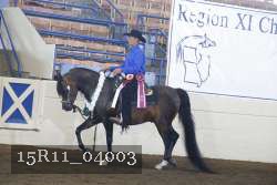15R11_04003 thumbnail