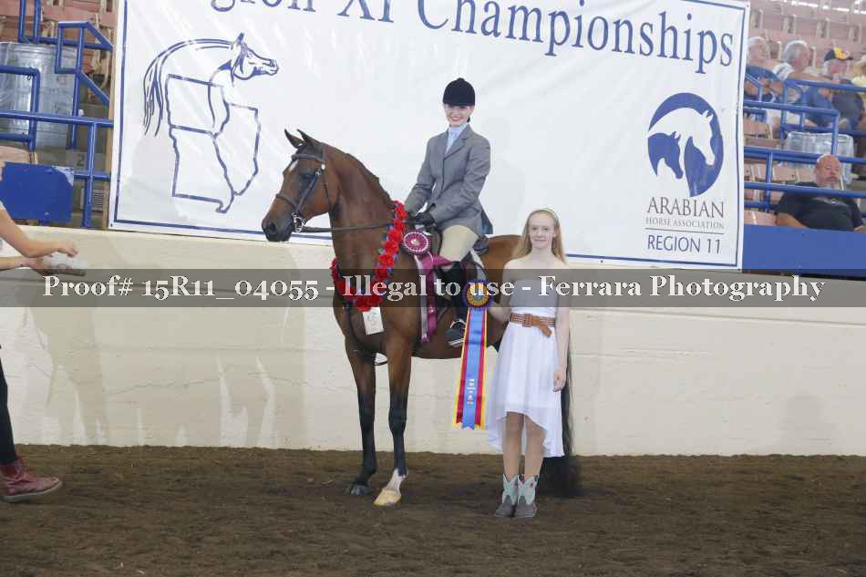 Proof Number 15R11_04055