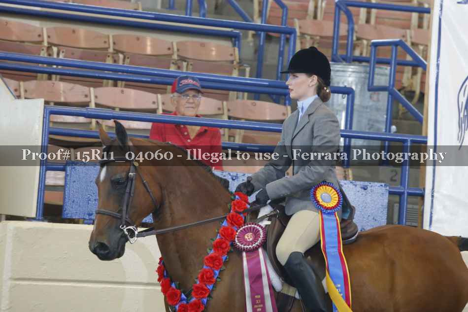 Proof Number 15R11_04060