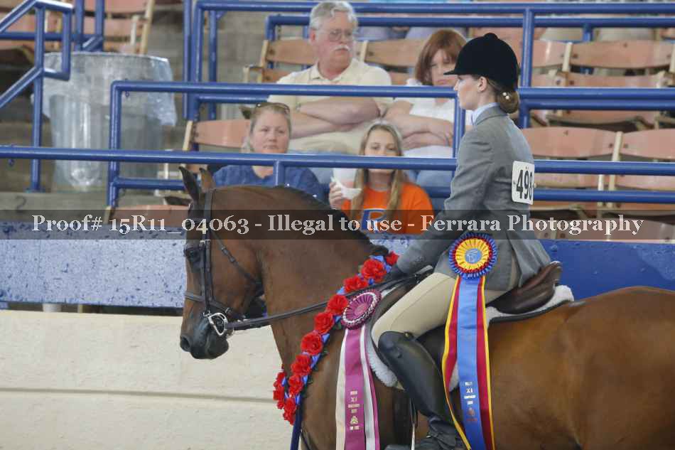 Proof Number 15R11_04063