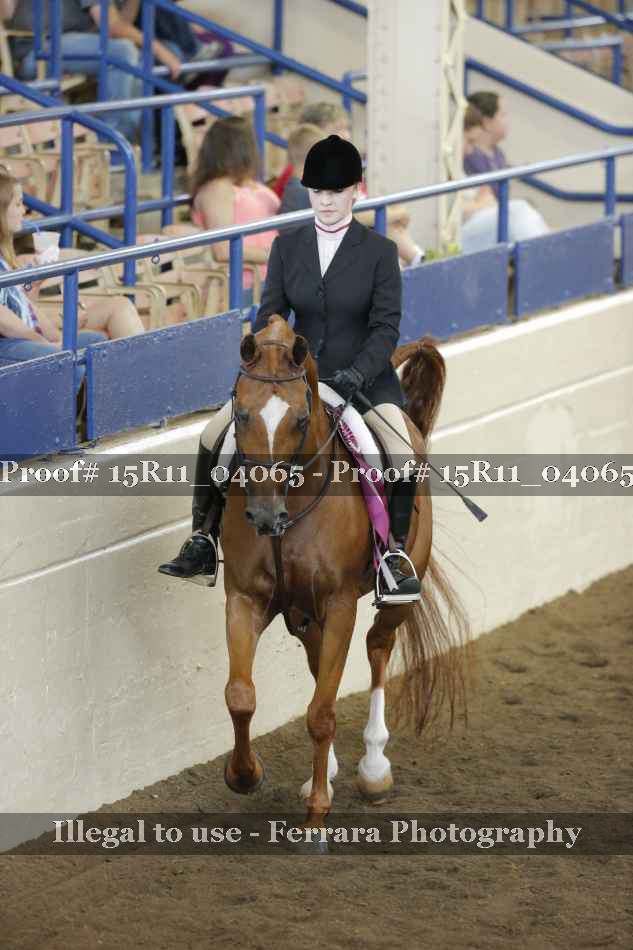Proof Number 15R11_04065
