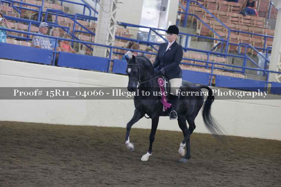 Proof Number 15R11_04066