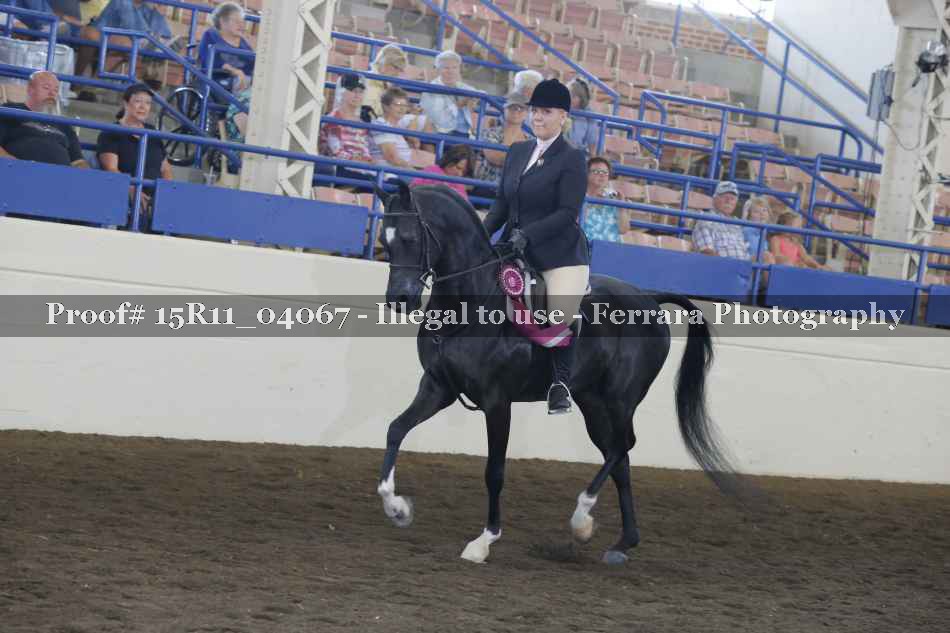 Proof Number 15R11_04067