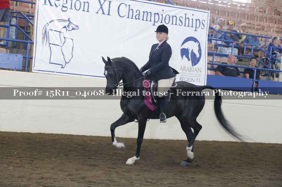 Proof Number 15R11_04068