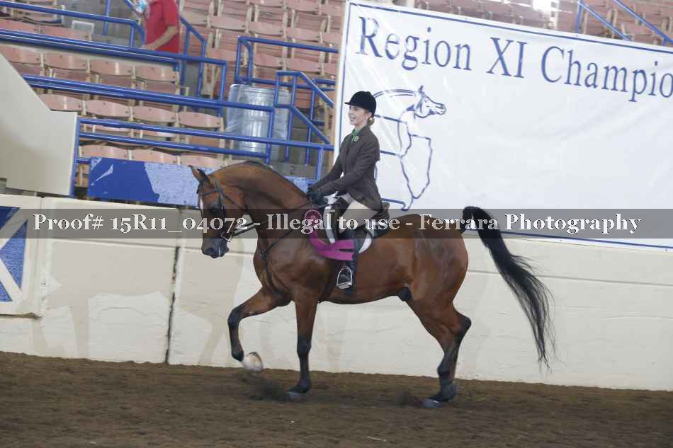 Proof Number 15R11_04072