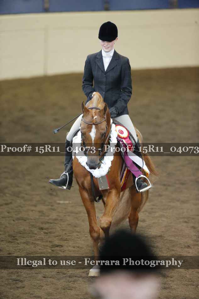 Proof Number 15R11_04073