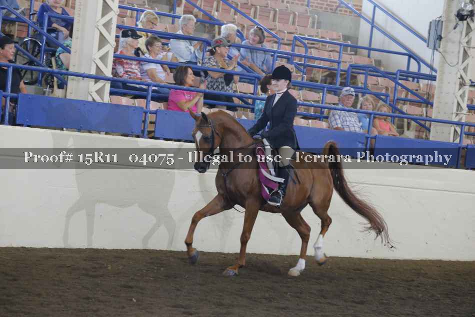 Proof Number 15R11_04075
