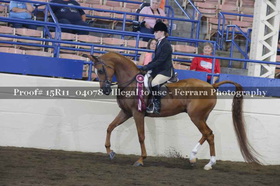 Proof Number 15R11_04078