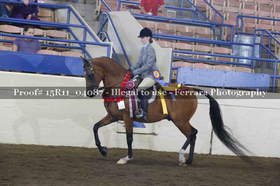 Proof Number 15R11_04087