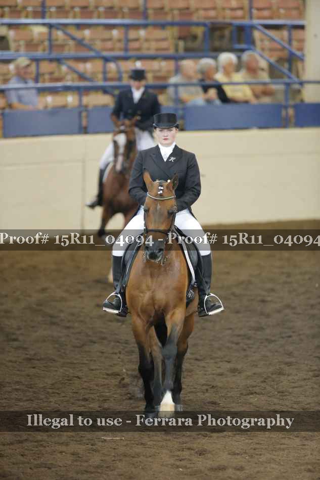 Proof Number 15R11_04094