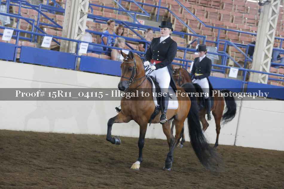 Proof Number 15R11_04115
