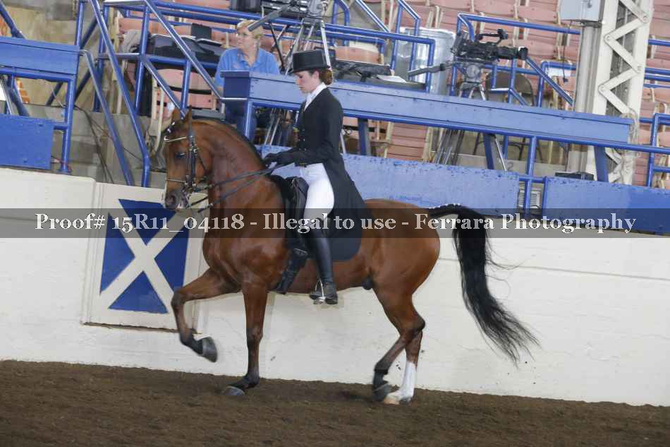 Proof Number 15R11_04118