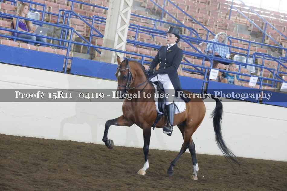 Proof Number 15R11_04119