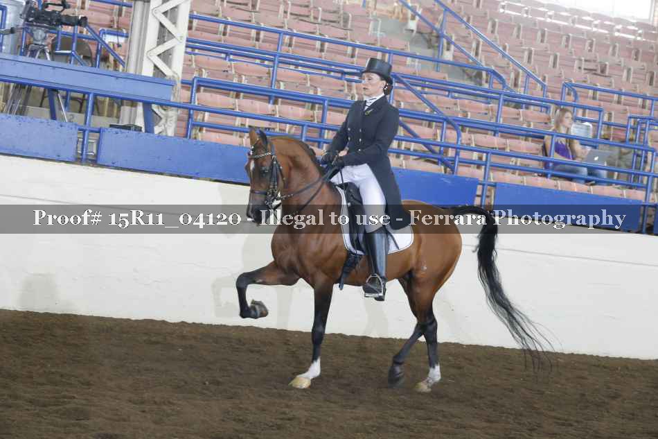 Proof Number 15R11_04120