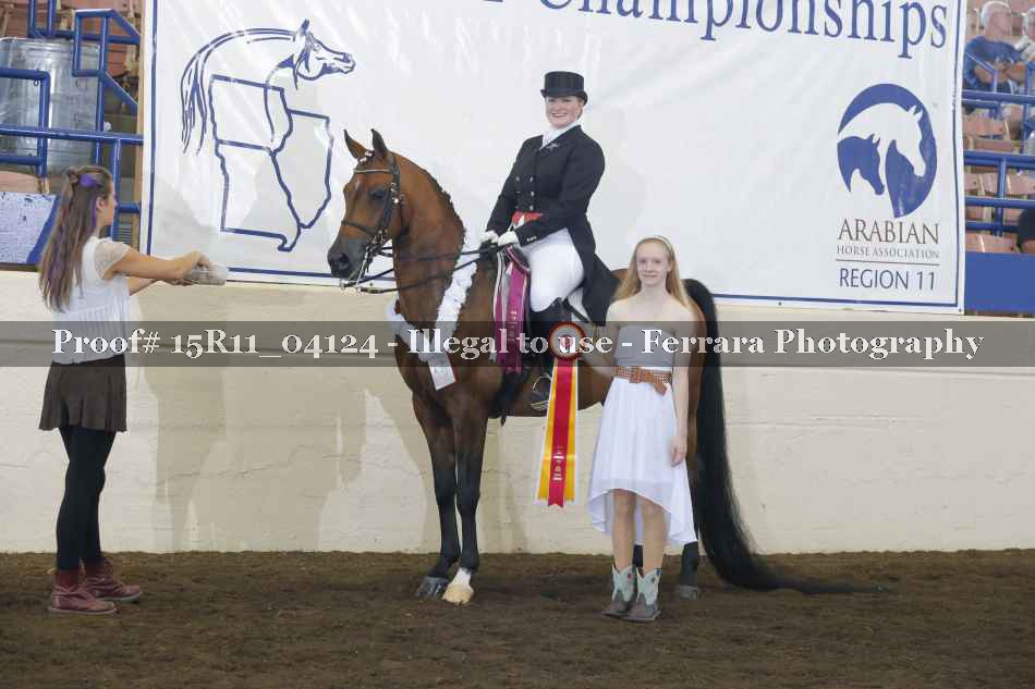 Proof Number 15R11_04124