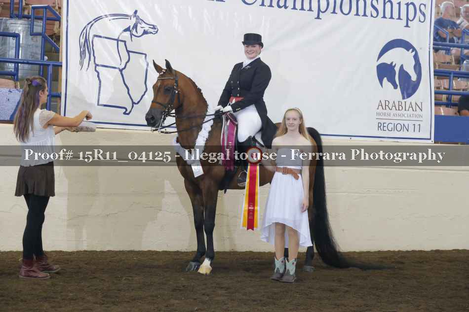 Proof Number 15R11_04125