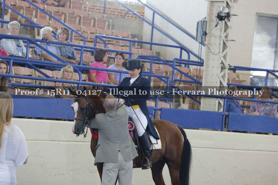 Proof Number 15R11_04127