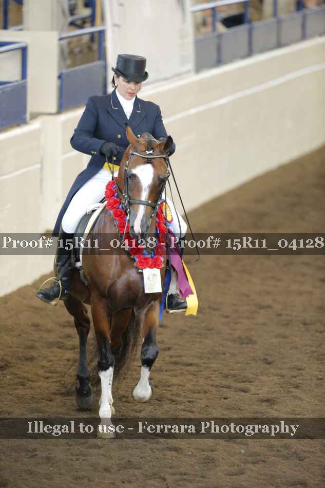 Proof Number 15R11_04128