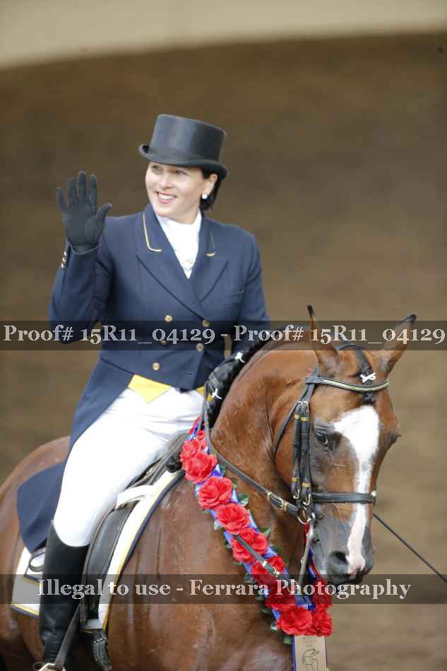 Proof Number 15R11_04129