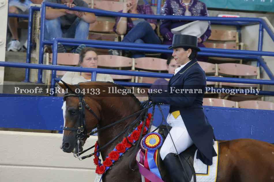 Proof Number 15R11_04133