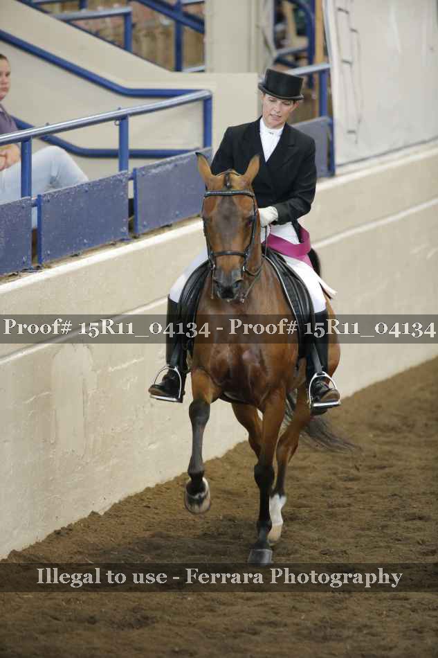 Proof Number 15R11_04134