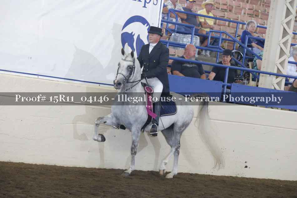Proof Number 15R11_04146