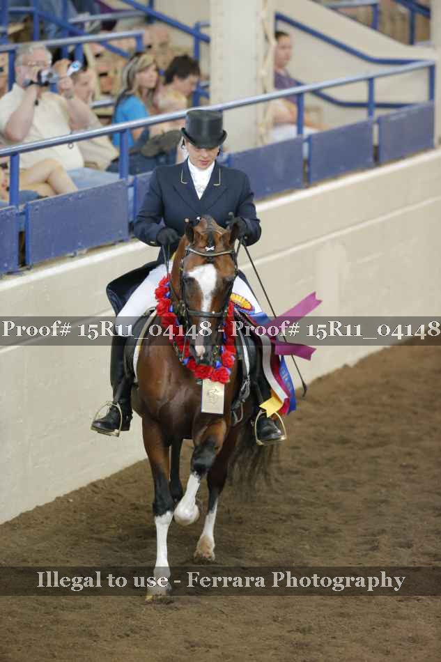 Proof Number 15R11_04148
