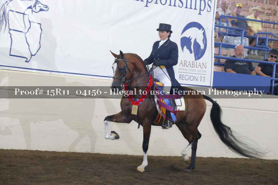 Proof Number 15R11_04156