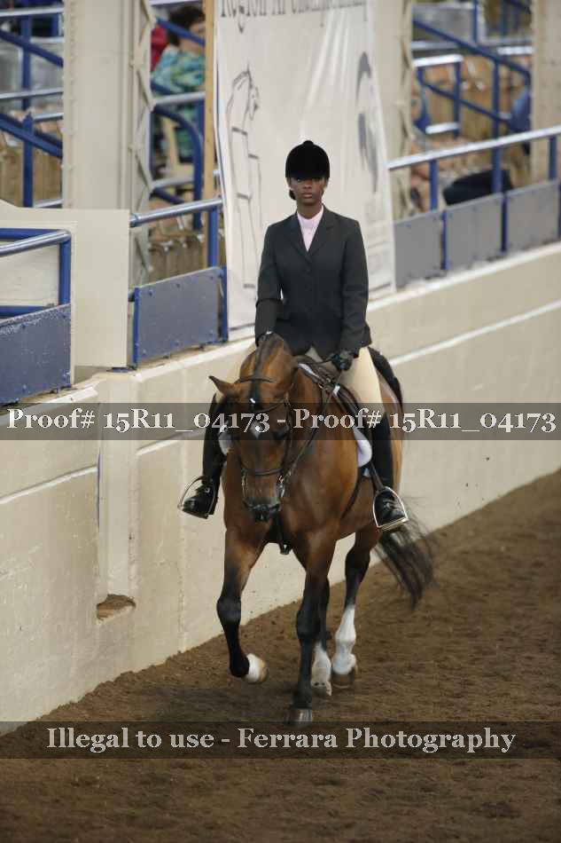 Proof Number 15R11_04173