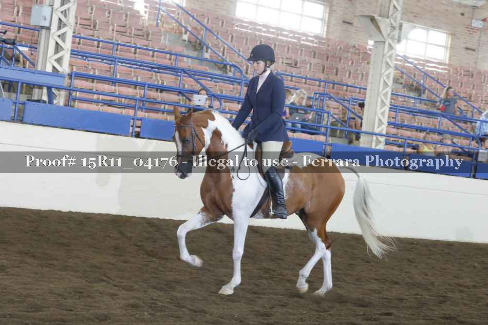 Proof Number 15R11_04176