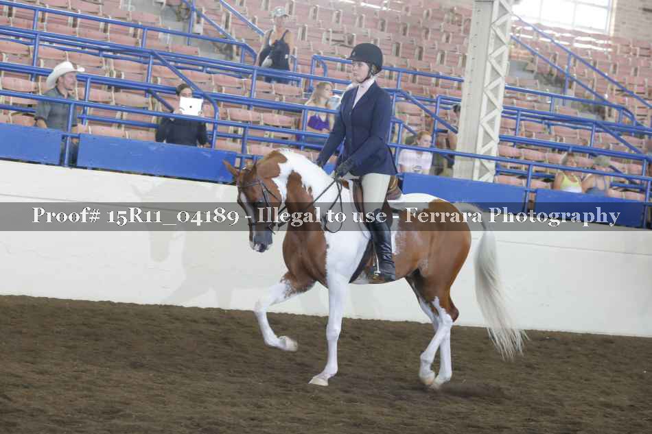 Proof Number 15R11_04189