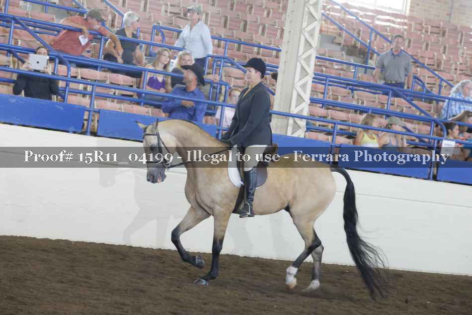 Proof Number 15R11_04199