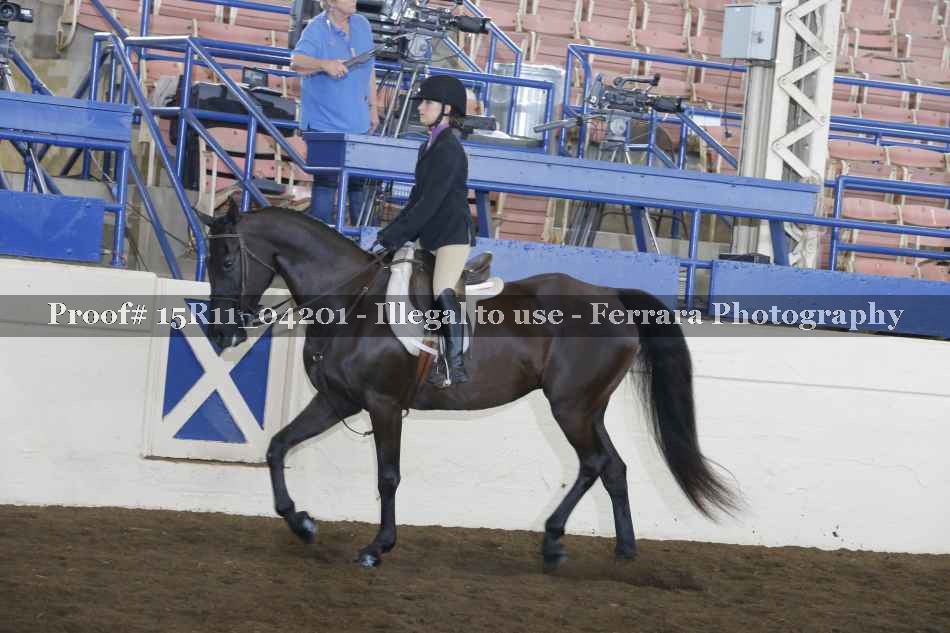 Proof Number 15R11_04201