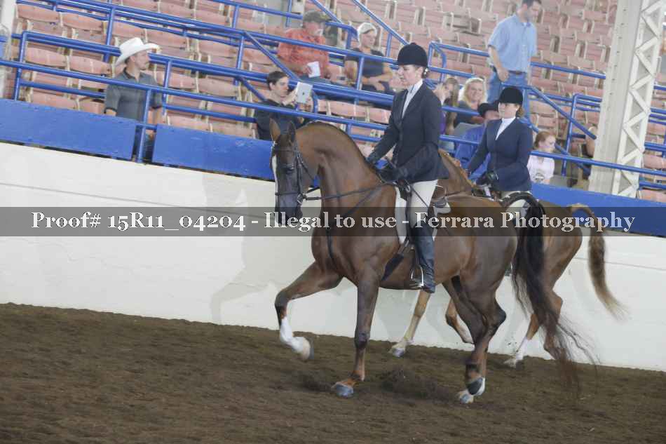 Proof Number 15R11_04204