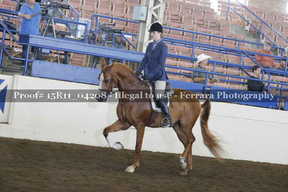 Proof Number 15R11_04208