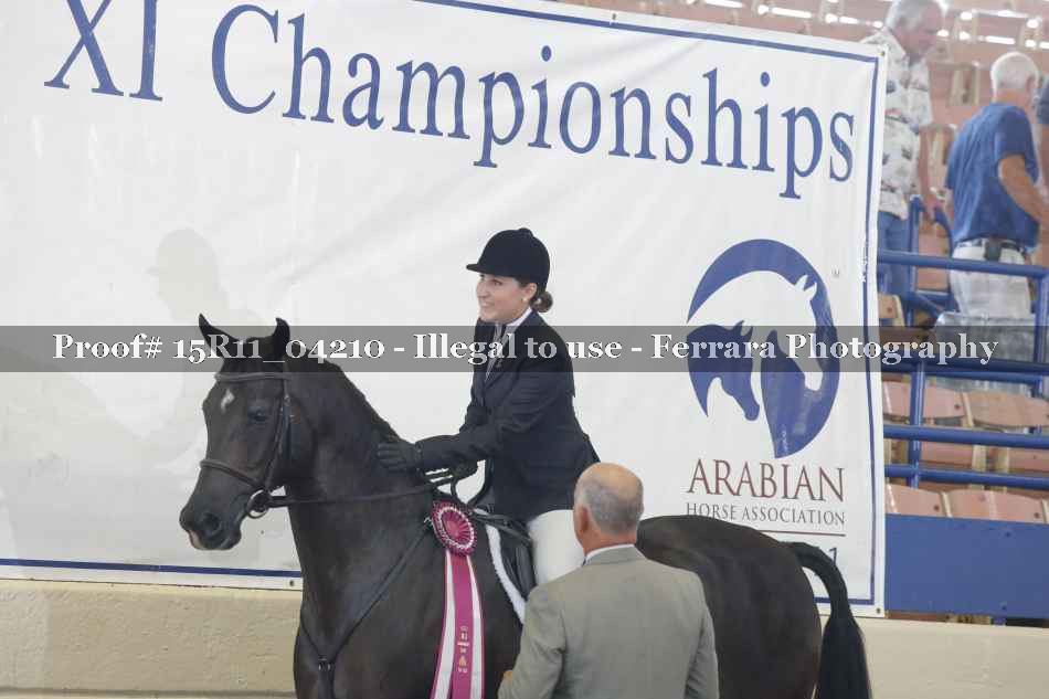 Proof Number 15R11_04210