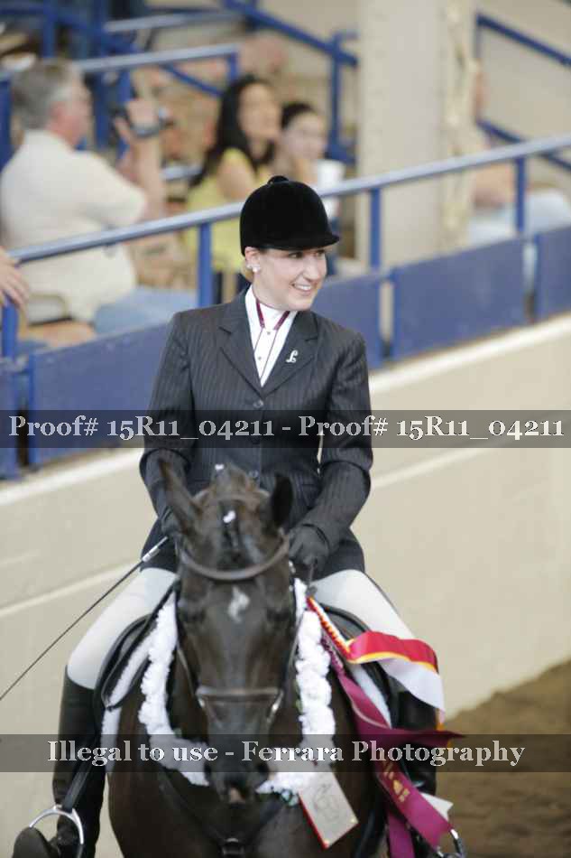 Proof Number 15R11_04211