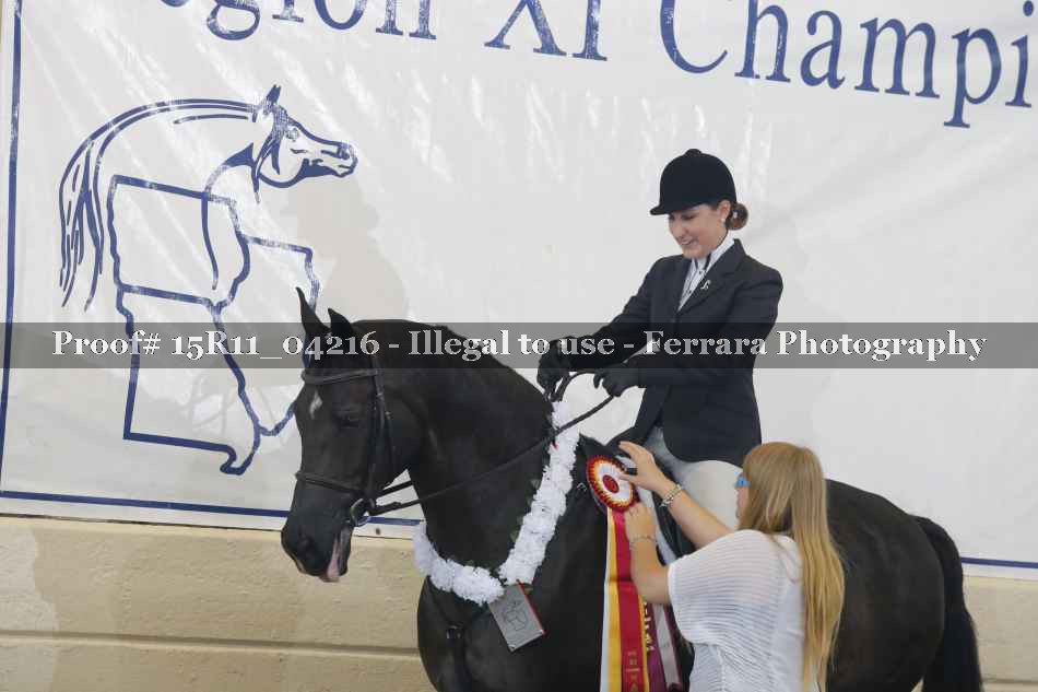 Proof Number 15R11_04216