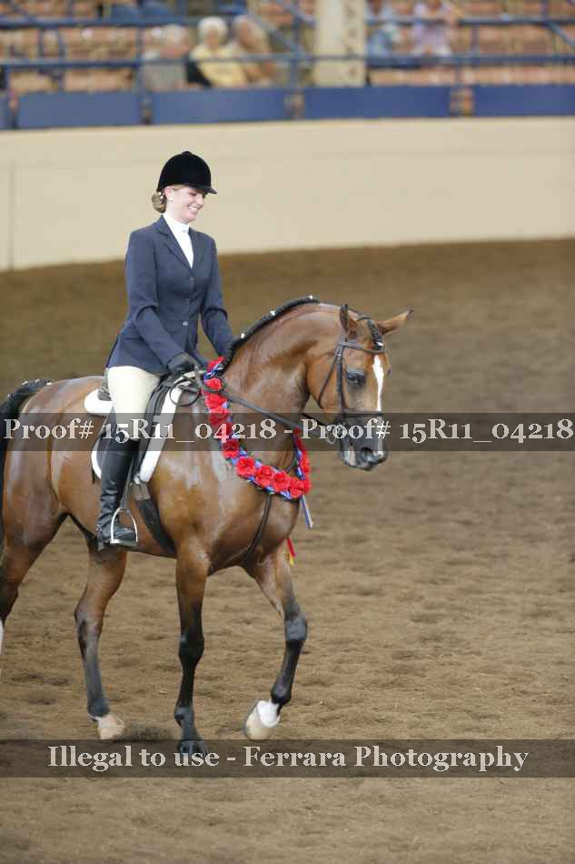 Proof Number 15R11_04218